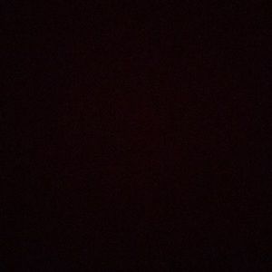 Meet your Posher, Mia